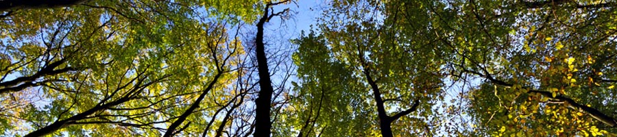 conni_eyrich_0010_Ebene 14.jpg